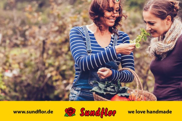 edelmarke-werbeagentur-stralsund-website-floristik